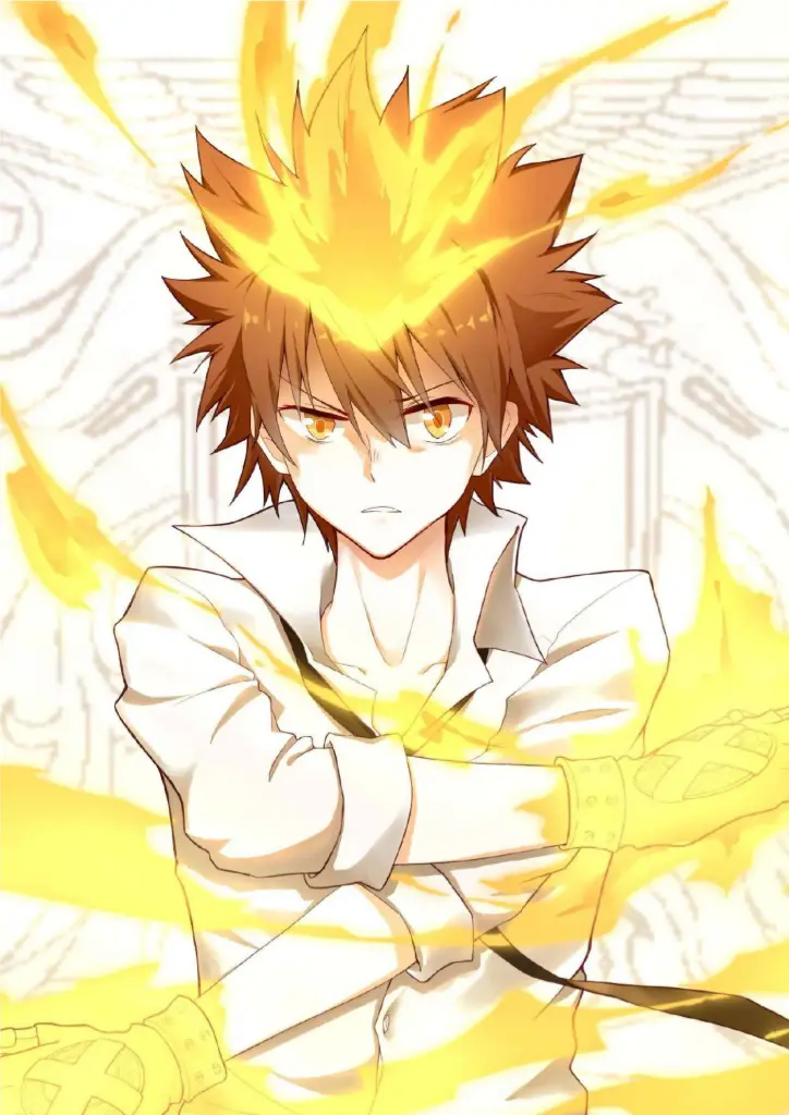 Tsuna Sawada, Katekyo Hitman Reborn! (Hyper Dying Will Flame) A4 Size Metal Poster 